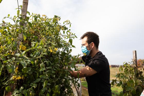 Photo of a masked Chatham University student working in the agroecology garden on Eden Hall Campus